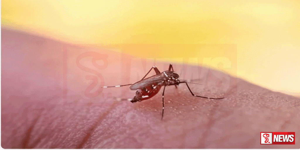 දිවයින පුරා ඩෙංගු යයි සැක සහිත රෝගීන් 35075ක්