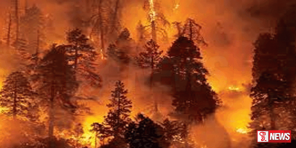 බටහිර ස්පාඤ්ඤයේ ලැව්ගිනික්