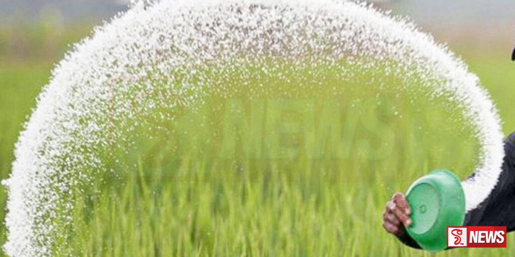 යූරියා පොහොර මිටියක මිල අඩු වේ?