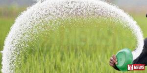 යූරියා පොහොර මිටියක මිල අඩු වේ?