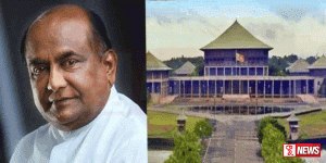 අලි සබ්රිට එරෙහිව සුදුසු පියවරක් ගන්නා ලෙස ඉල්ලයි