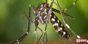 ඩෙංගු මර්දන වැඩසටහනට කණ්ඩායම් 60ක්