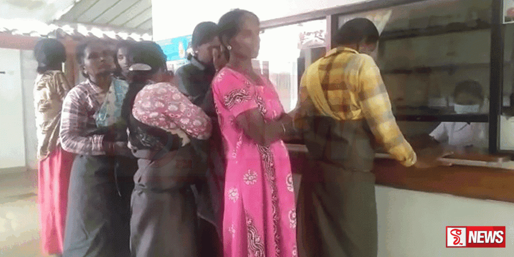 බඹර ප්රහාරයකි වතු කම්කරු කාන්තාවන් 6ක් රෝහලට