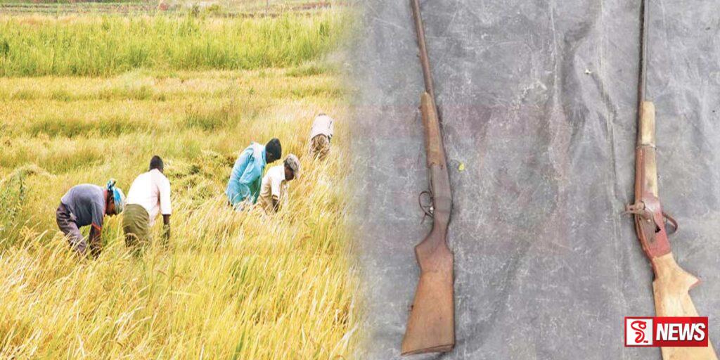 වගාවන්වල ආරක්ෂාවට ගිනි අවි බලපත්ර