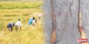 වගාවන්වල ආරක්ෂාවට ගිනි අවි බලපත්ර