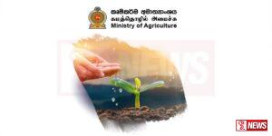 මෙරට ඇට පිටරට යවයි