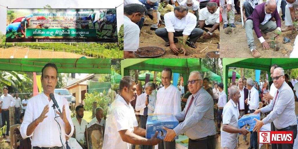 ඩොලර් බිලියන 2 ක තේ ආදායමක් ලබාගැනීමේ අරමුණින් ඍජු තේ පැළ වගා කිරීමේ ව්යාපෘතියක්