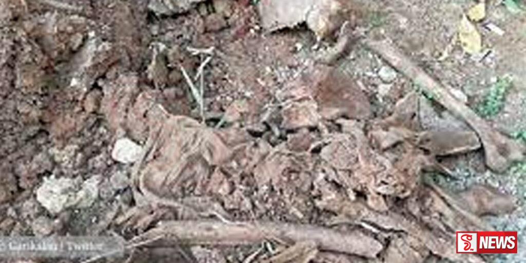 යාපනයේ තිබී මිනිස් ඇට සැකිළි කොටස්