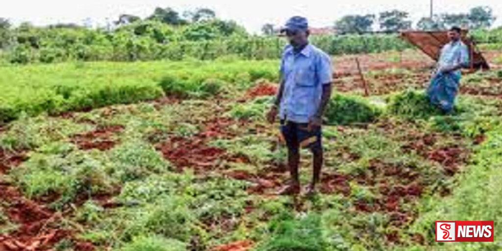 කෘෂිකාර්මික ව්යාපෘති පිළිබඳ ප්රගති සමාලෝචන රැස්වීමක්