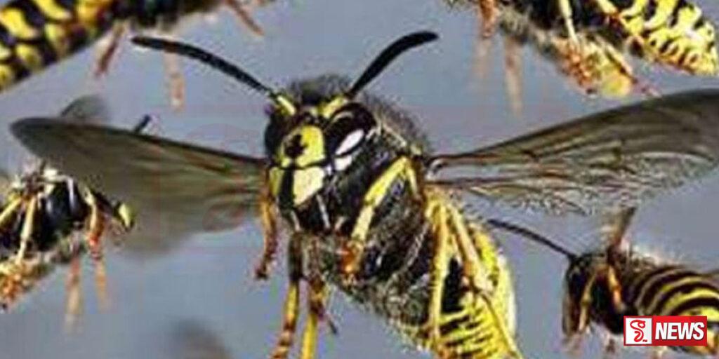 පොලිස් නිලධාරින්ට බඹර ප්රහාරයක්