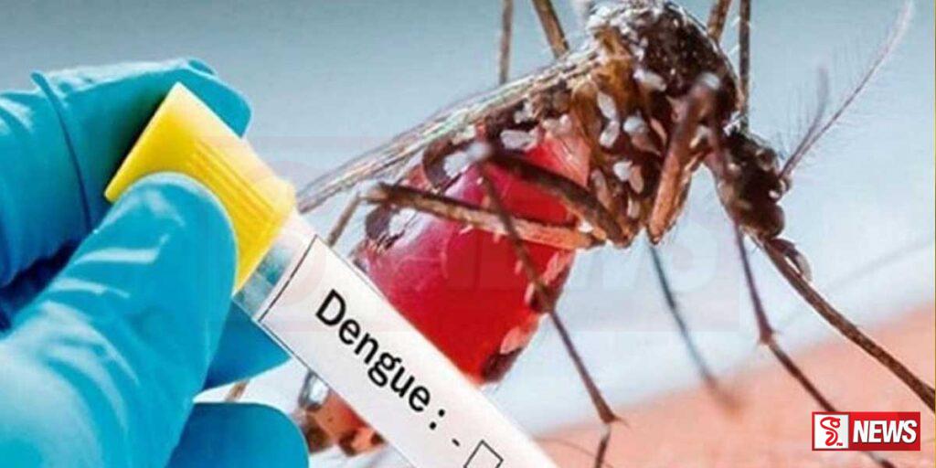 ඩෙංගු පාලනය සඳහා අමාත්ය කමිටුවක්