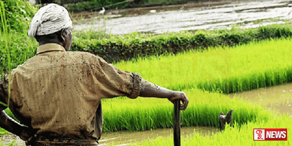 ගොවීන්ට පැමිණිලි කිරීම සඳහා දුරකථන අංක දෙකක්