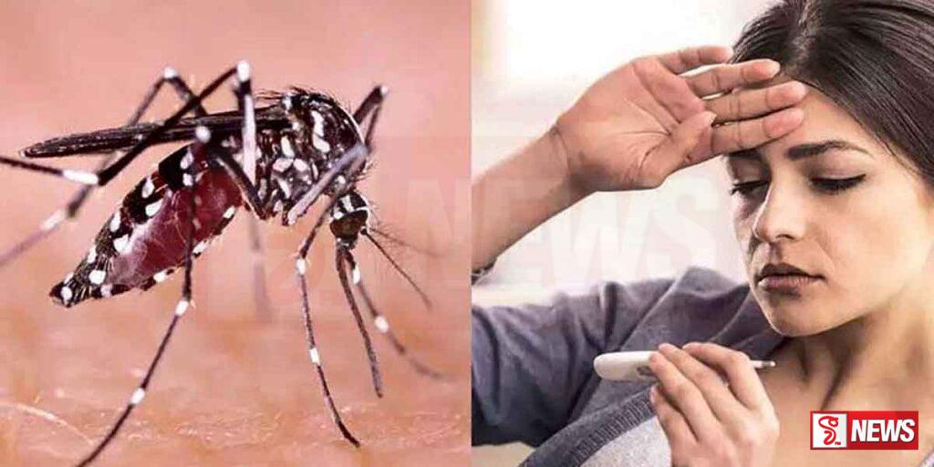 ඩෙංගු රෝගීන් සමීපව නිරීක්ෂණය කිරීමේ නව පද්ධතියක්