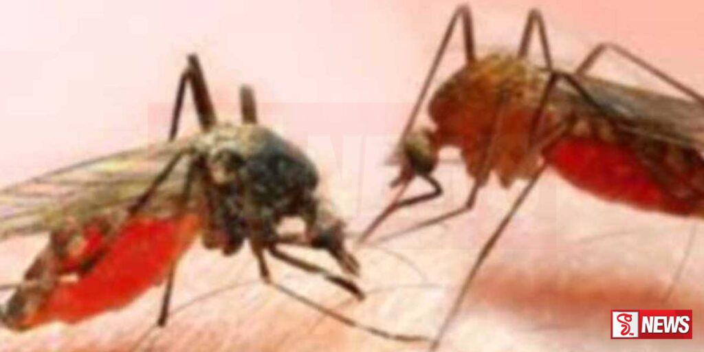 මැලේරියා රෝගය ඇති වීමේ අවදානමක්