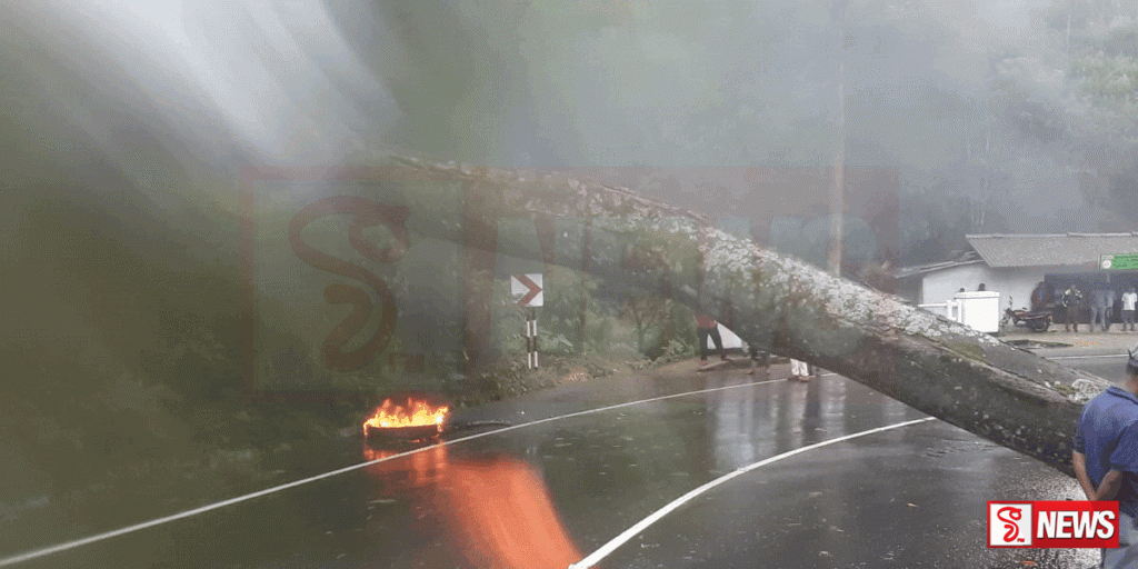 විශාල මාර ගසක් කඩා වැටිමෙන් ගමනා ගමනයට බාධා