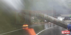 විශාල මාර ගසක් කඩා වැටිමෙන් ගමනා ගමනයට බාධා