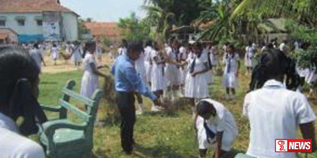 පාසල් වාරය ආරම්භයට පෙර විශේෂ ඩෙංගු මර්ධන වැඩසටහනක්