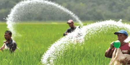 අද සිට යූරියා පොහොර