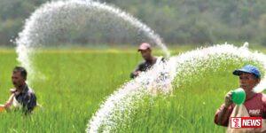 යූරියා රැගත් නෞකාවක් හෙට දිවයිනට