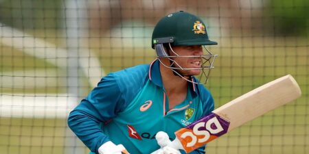 ඩේවිඩ් වෝනර් ලබන වසරේ ජනවාරි මස දී ක්රීඩාවට සමුදීමට බලාපොරොත්තු වේ