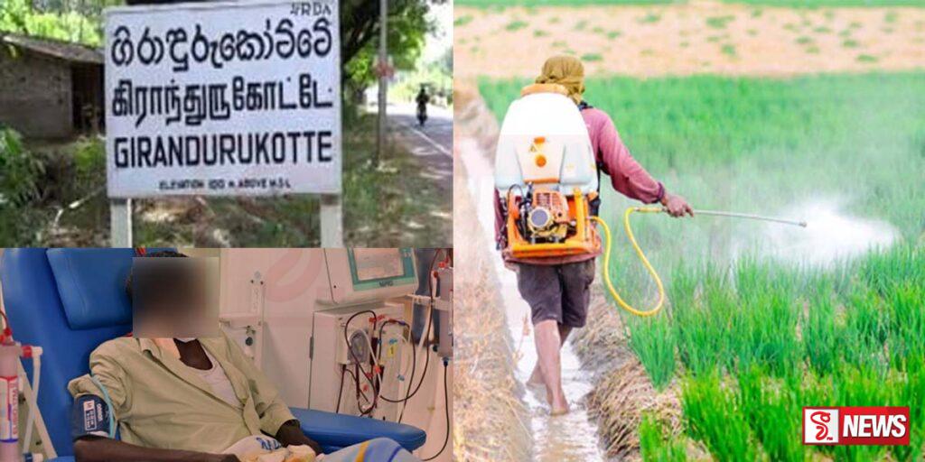 කෘමි රසායනික ද්රව්ය හේතුවෙන් ප්රදේශයේ ජනතාව දිනෙන් දින වකුගඩු රෝගයට ගොදුරු වෙනවා