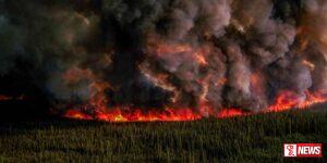 කැනඩාවේ ලැව් ගින්නකින් හෙක්ටයාර මිලියන 3ක් අළුවෙයි