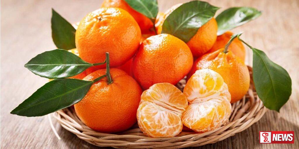 මැන්ඩරින් දොඩම් සඳහා වගා කළාපයක්