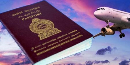 2024 මුල් මාස 04 ට විදේශ රැකියා පැමිණිලි 1371 ක්