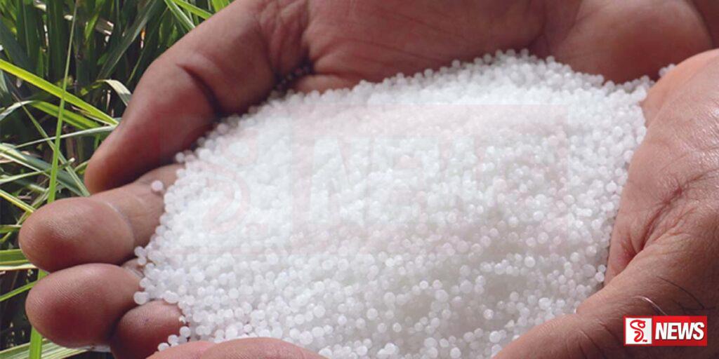 යූරියා මෙට්රික් ටොන් විසිදාහක් රැගත් නෞකාවක් අද දිවයිනට