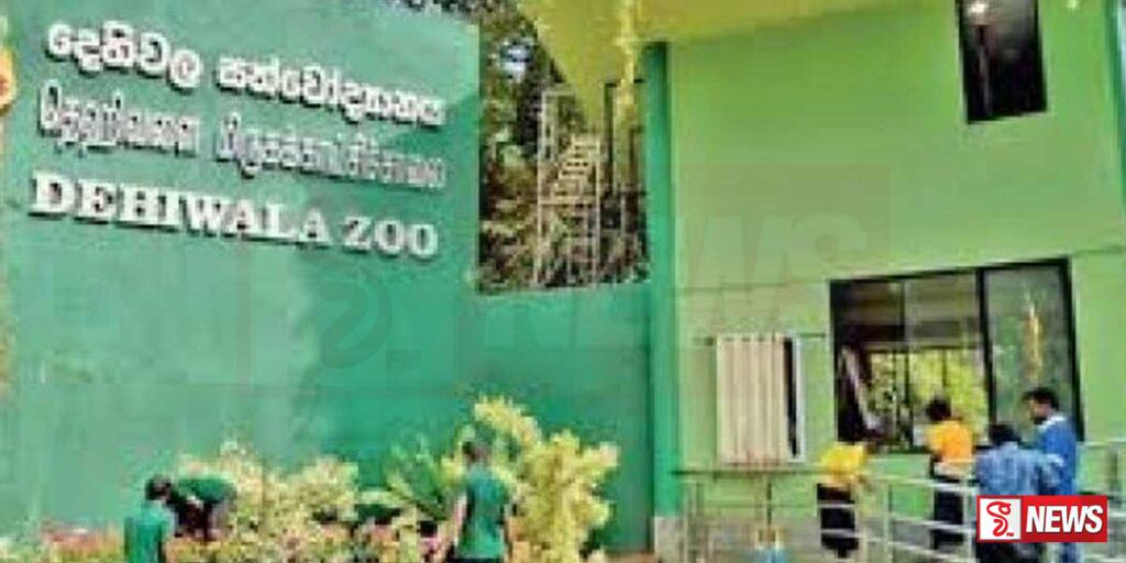 සතියක් පුරා නොමිලේ සත්වෝද්යානය නැරඹීමට අවස්ථාවක්