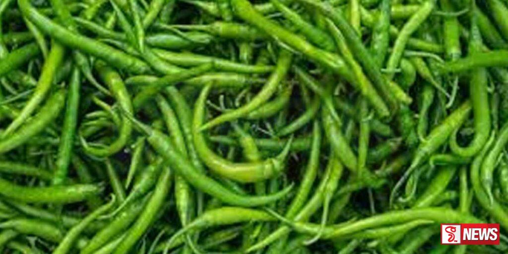 අමු මිරිස් කිලෝවක මිල ඉහළට