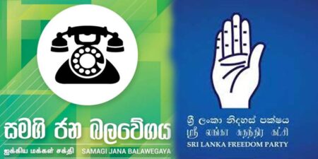 අතේ දෙන්නෙක් දුරකතනය අතට ගනී
