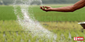 තවත් රසායනික පොහොර වර්ගයක් නොමිලේ