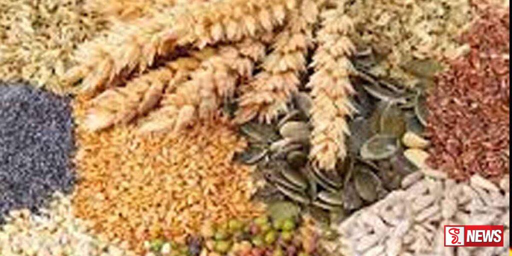 සහල් ඇතුඵ ආහාර බෝග වලින් රට ස්වයංපෝෂිත මට්ටමට ළගා වෙයි