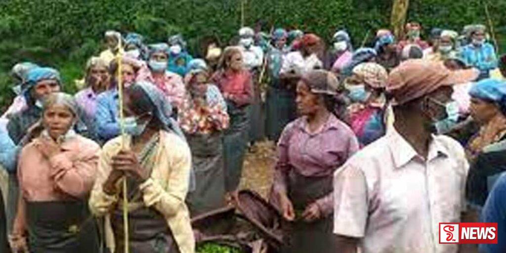 වතු කම්කරුවත් මෙරටට පැමිණ වසර 200ක්