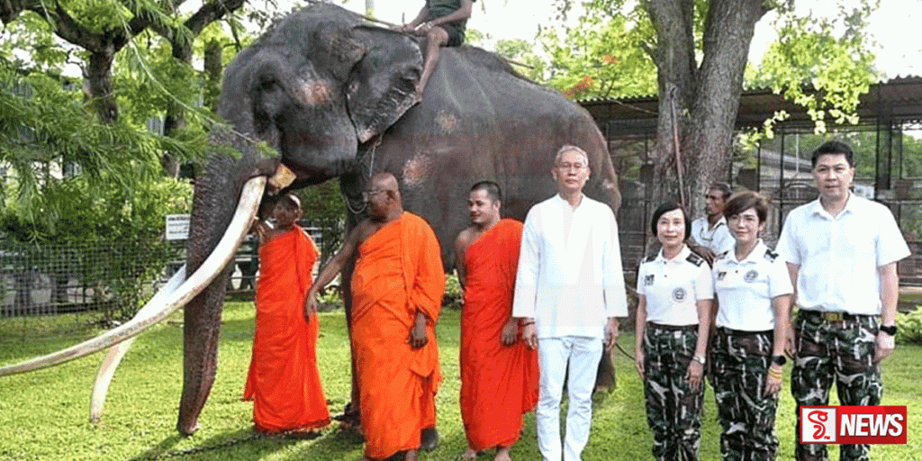 මුතුරාජා හස්තියා ගුවන් යානයකින් මව් රටට