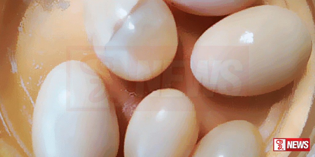 ගජමුතු සමඟ පුද්ගලයෙකු කොටු