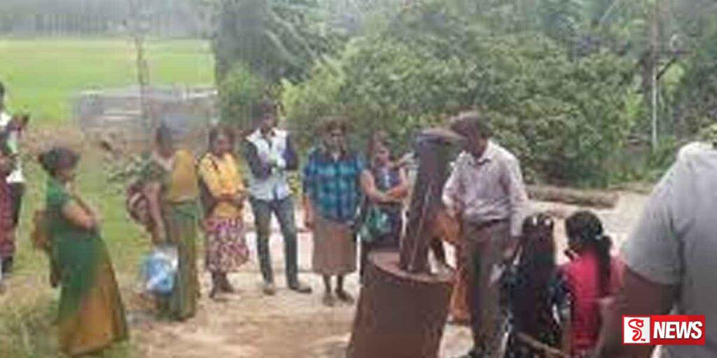 බතලගොඩ වී පර්යේෂණ ආයතනය ජනතා නැරඹීමට