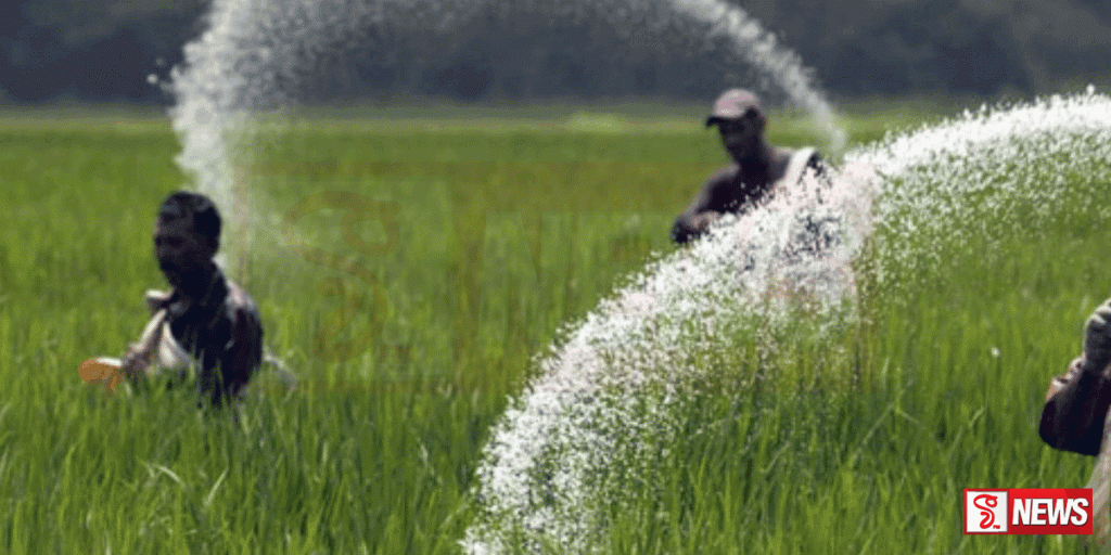 අද සිට බණ්ඩි පොහොර මිල පහළට