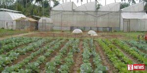 කෘෂි තාක්ෂණ උද්යානය මහජන ප්රදර්ශනයට