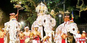 ශ්රී දළදා මාලිගාවේ කුඹල් පෙරහැර අද සිට වීදී සංචාරයට