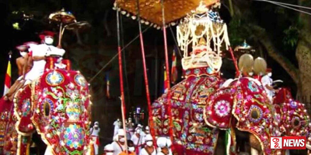 මෙවර මහනුවර ඇසළ පෙරහර මංගල්යයට අලි ඇතුන් විශාල සංඛ්යාවක් සහභාගි කිරීමට සූදානමක්