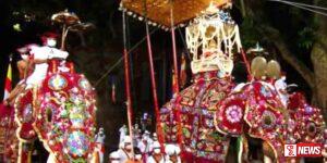 මෙවර මහනුවර ඇසළ පෙරහර මංගල්යයට අලි ඇතුන් විශාල සංඛ්යාවක් සහභාගි කිරීමට සූදානමක්