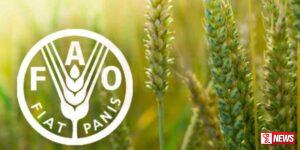 එක්සත් ජාතීන්ගේ ආහාර හා කෘෂිකර්ම සංවිධානයේ 37 වන සමුළුව මෙරටදී