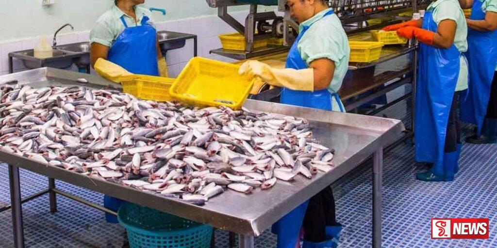 මාළු කර්මාන්ත ශාලාවක විෂ දුමෙන් සේවක සේවිකාවන් 31ක් රෝහල් ගත කරයි