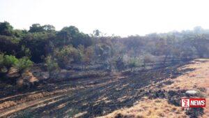 තලවකැලේ නගර මධ්යයේ පිහිටි වෙලදසැලක ගින්නක්