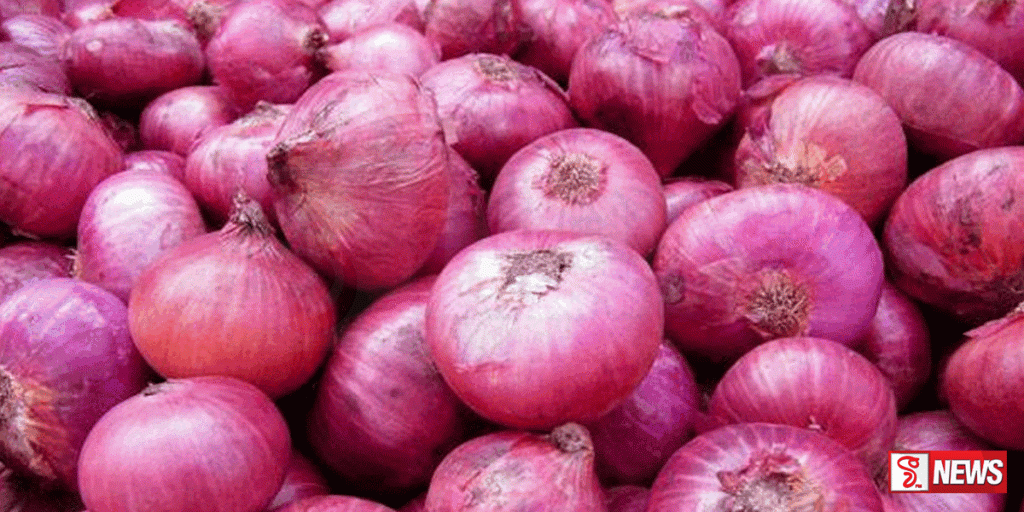 ලූනු සඳහා 40%ක අපනයන බද්දක්