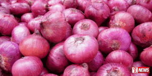 ලූනු සඳහා 40%ක අපනයන බද්දක්