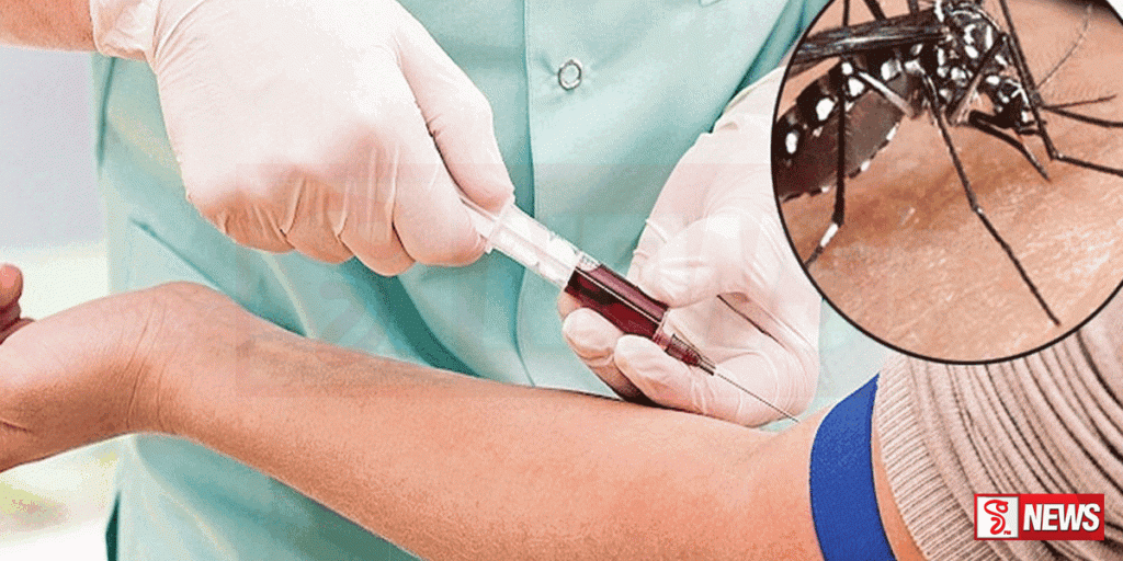 වසරේ ගතවූ කාලය තුළ ඩෙංගු රෝගීන් 61,036 ක්