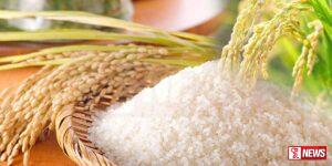 සහල් ආනයනය අවශ්ය නොවේ